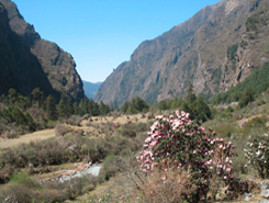 kyanjin gompa